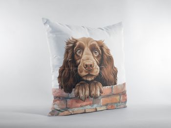 P-8770-field spaniel